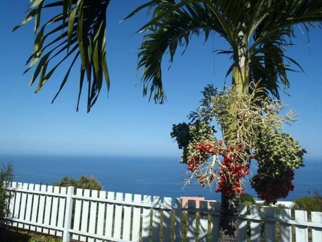Les Kreol'Inns Chalets De Charme Saint-Leu Esterno foto